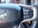 2021 Bronco Thumbnail 20