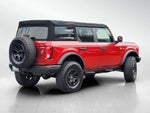 2021 Bronco Thumbnail 4