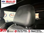2021 Bronco Thumbnail 19