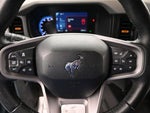 2022 Bronco Thumbnail 18