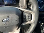 2023 Bronco Thumbnail 14