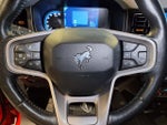 2021 Bronco Thumbnail 12