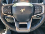 2022 Bronco Thumbnail 18