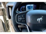 2023 Bronco Thumbnail 13