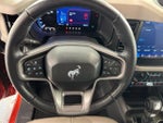 2023 Bronco Thumbnail 13