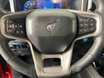 2023 Bronco Thumbnail 16