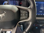 2023 Bronco Thumbnail 14