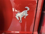 2023 Bronco Thumbnail 36