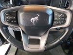 2023 Bronco Thumbnail 19