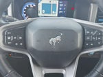2023 Bronco Thumbnail 27