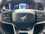 2021 Bronco Thumbnail 23