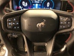 2021 Bronco Thumbnail 18