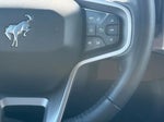 2023 Bronco Thumbnail 15
