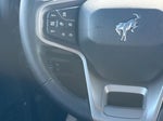 2023 Bronco Thumbnail 16