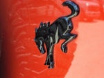 2022 Bronco Thumbnail 12