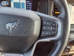 2023 Bronco Thumbnail 17