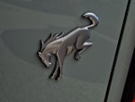 2023 Bronco Thumbnail 30
