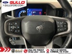 2023 Bronco Thumbnail 23