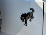 2021 Bronco Thumbnail 30