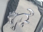 2023 Bronco Thumbnail 5