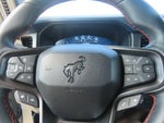 2023 Bronco Thumbnail 27