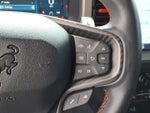 2023 Bronco Thumbnail 19
