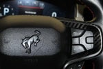 2023 Bronco Thumbnail 17