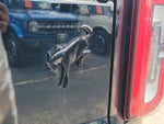 2025 Bronco Thumbnail 9