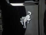 2025 Bronco Thumbnail 7