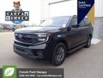 2025 Expedition MAX Thumbnail 9