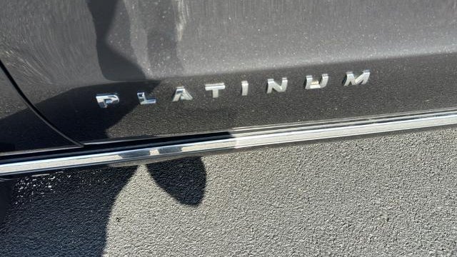 2020 Ford Expedition MAX Platinum