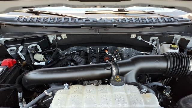 2025 Ford Expedition MAX King Ranch