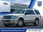 2013 Expedition Thumbnail 1