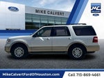 2013 Expedition Thumbnail 2