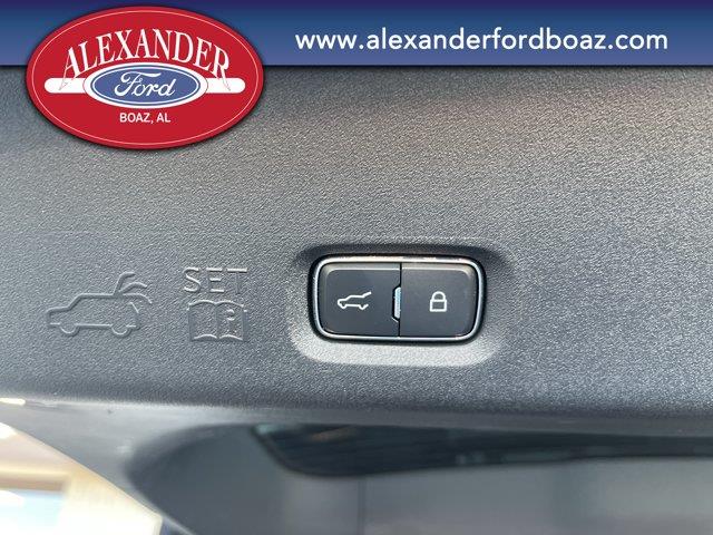 2026 Ford Expedition
