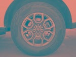 2025 Expedition Thumbnail 6