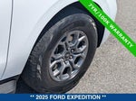2025 Expedition Thumbnail 12