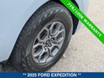 2025 Expedition Thumbnail 12