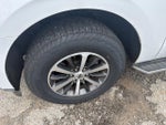 2018 Expedition Thumbnail 22