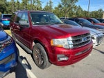 2016 Expedition Thumbnail 2