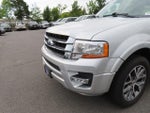 2017 Expedition Thumbnail 10