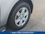 2020 Expedition Thumbnail 12