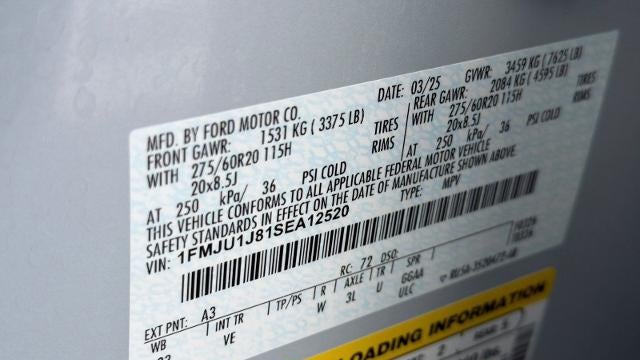2025 Ford Expedition Active