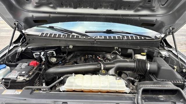 2023 Ford Expedition XLT
