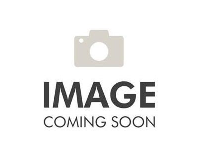 2025 Ford Expedition 4X4 Active 4DR SUV