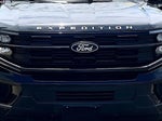 2025 Expedition Thumbnail 5