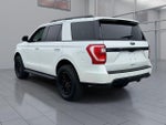2020 Expedition Thumbnail 4