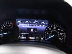 2019 Expedition Thumbnail 43