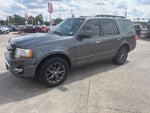 2017 Expedition Thumbnail 1