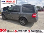 2017 Expedition Thumbnail 7